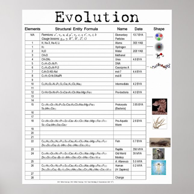 Evolution Poster (Vorne)