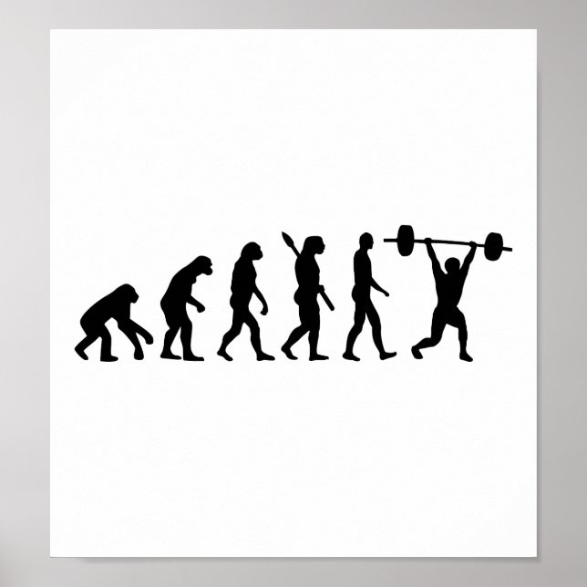 Evolution Poster (Vorne)