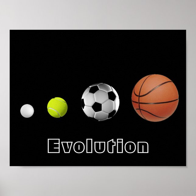 Evolution Poster (Vorne)