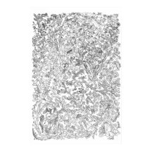 Evolution Poster - Baum des Lebens - Schwarz und W