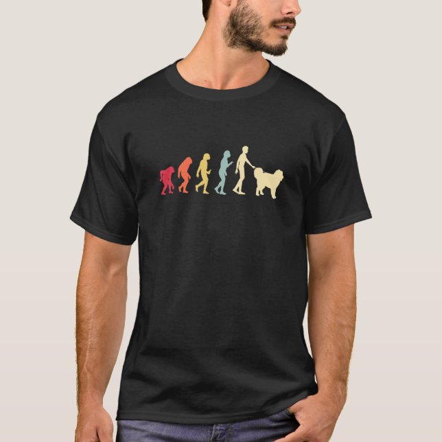 Evolution Retro T-Shirt (Vorderseite)