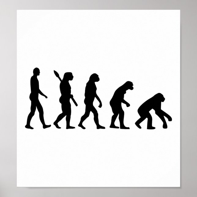 Evolution rückwärts poster (Vorne)