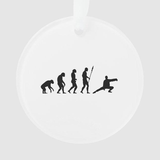 évolution tai chi (devant)