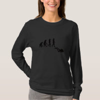 Evolution Tauchen Ozean Tauchen Seelöwe