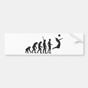 evolution volleyball autoaufkleber
