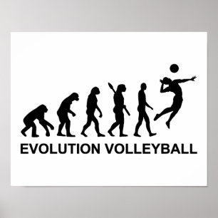 Evolution Volleyball Poster
