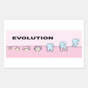 Evolution Zahnsticker Rechteckiger Aufkleber