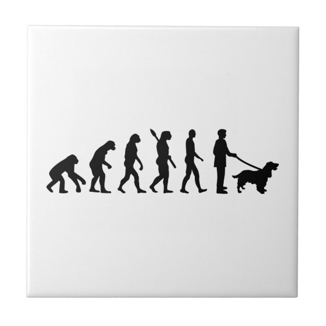 Evolutions-Cockerspaniel Fliese (Vorderseite)