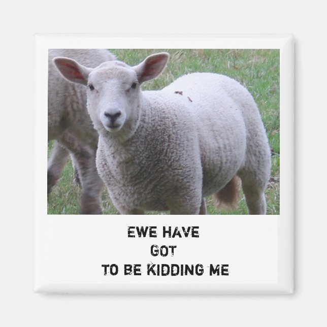 Ewe hat got, mich zu verarschen magnet (Vorne)