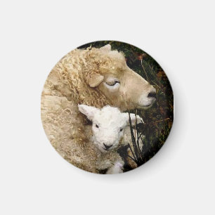 Ewe und Lamb Magnet