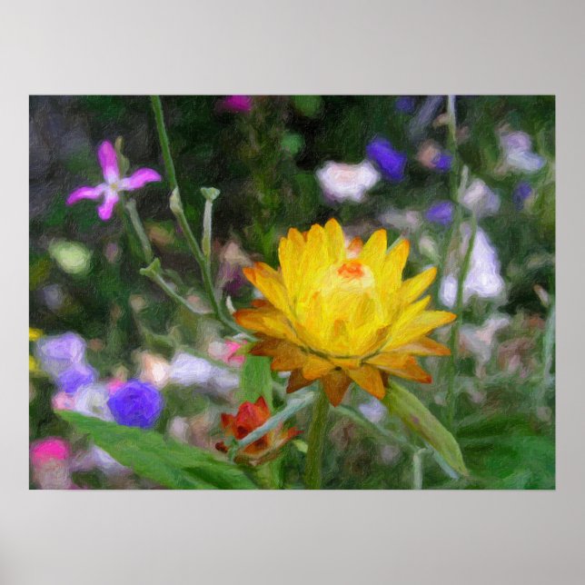 Ewige Blumen. Poster (Vorne)
