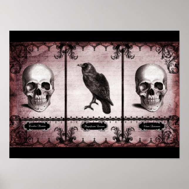 Ewiges Leben Poster (Vorne)
