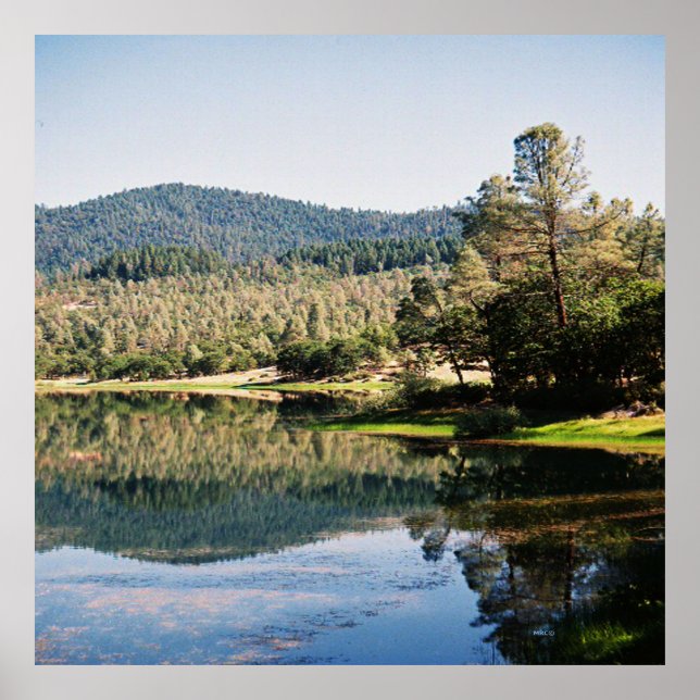 Ewing Reservoir... Poster (Vorne)
