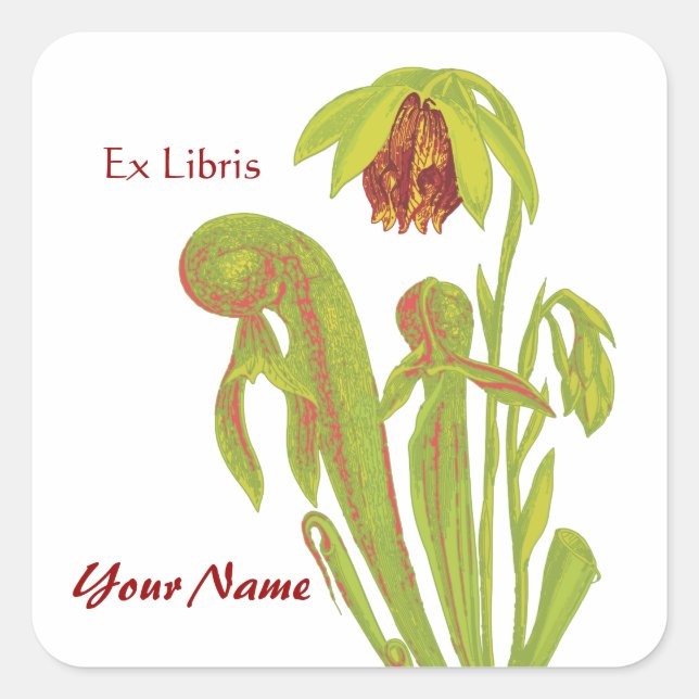 Ex Libris Pitcher Pflanze Buchkleber Quadratischer Aufkleber (Vorderseite)