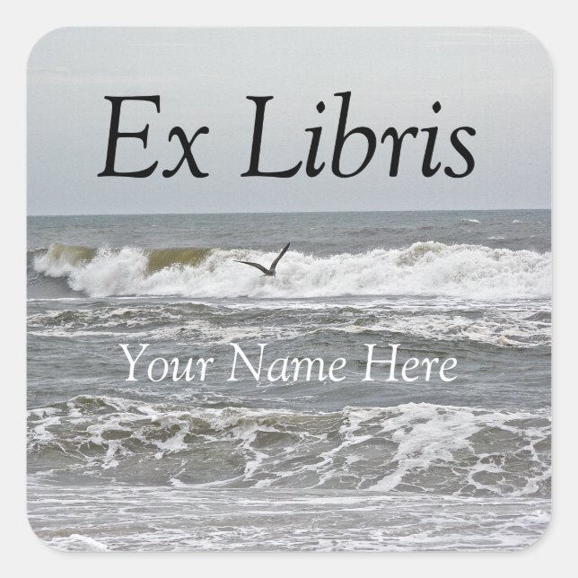 Ex Libris - Sticker Surf et goéland (Devant)