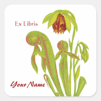 Ex Libris Stickers Plante Pitcher