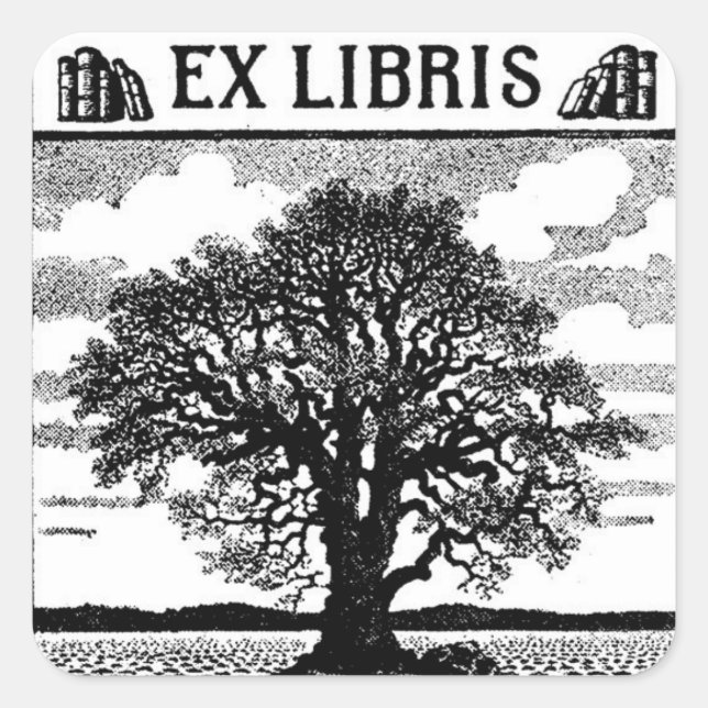 Ex Libris Tree Buchzeichen Quadratischer Aufkleber (Vorderseite)
