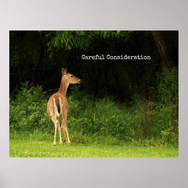 Examen attentif - affiche (Devant)