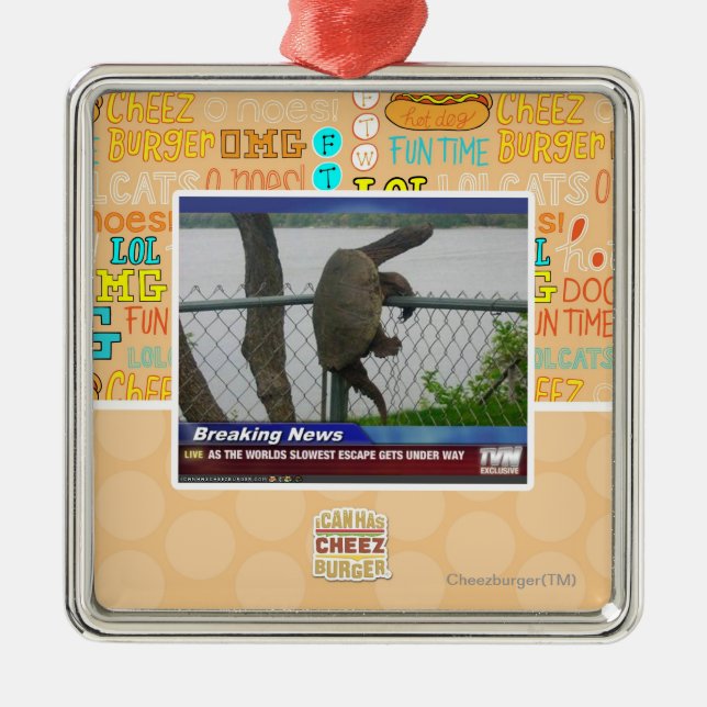 Excaping Schildkröte Silbernes Ornament (Vorne)