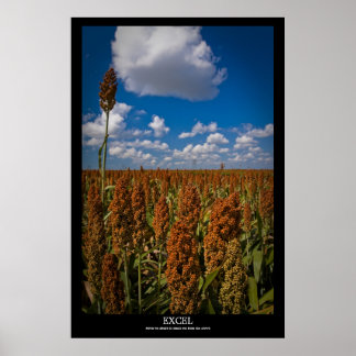 Excel Poster