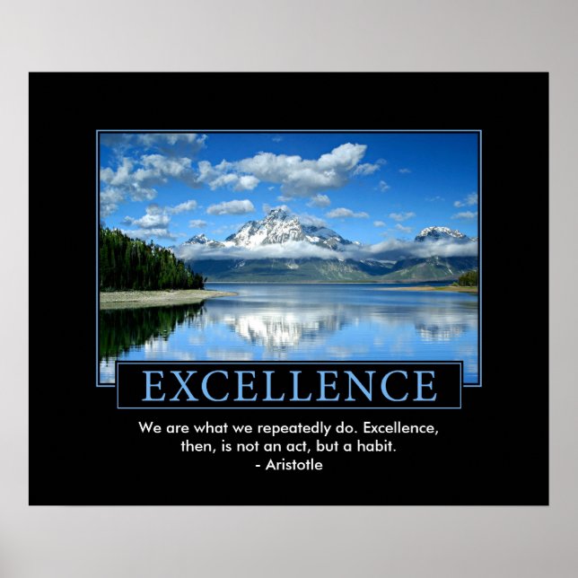 Excellence Inspiration Poster (Vorne)
