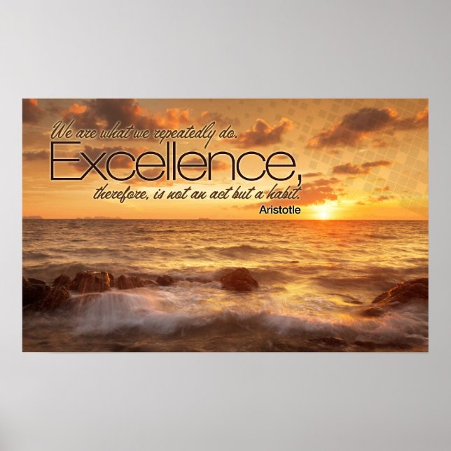 Excellence is Habit Inspirational Poster Print (Vorne)