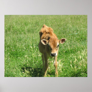Exceptionnel Dans son champ Photo Impression