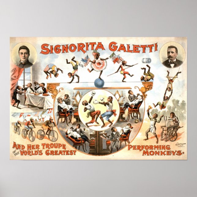 Exécution du Poster vintage de singes (Devant)