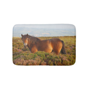 Exmoon Pony, Pferd, Somerset, England Badematte