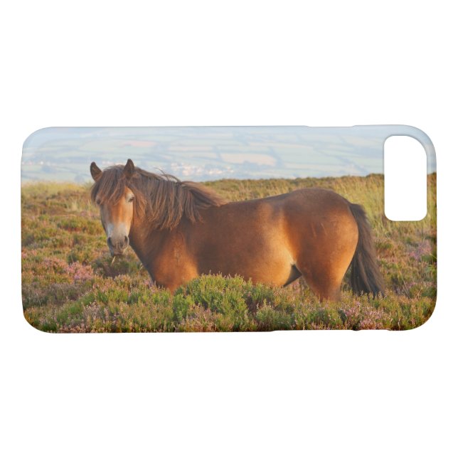 Exmoon Pony, Pferd, Somerset, England Case-Mate iPhone Hülle (Rückseite (Horizontal))