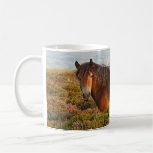 Exmoor-Pony, Pferd, Somerset, England Kaffeetasse
