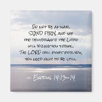Exodus 14:13-14 Keine Angst STAND FIRM