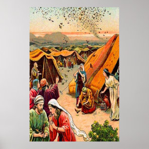 Exodus 16 Dieu envoie une affiche Quail et Manna
