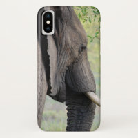 Exotic African Gray Elephant