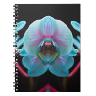 Exotic Blue Orchid Reflection Notizblock