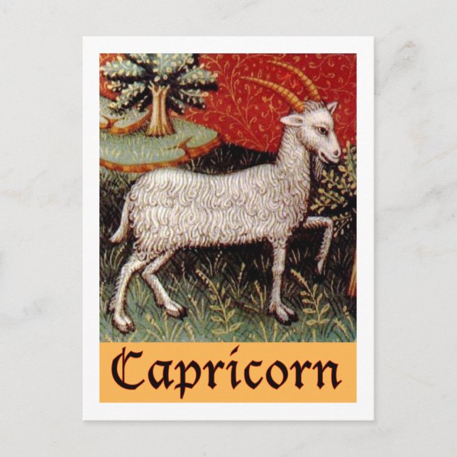 Exotic Capricorn Zodiac-Zeichen Postkarte (Vorderseite)