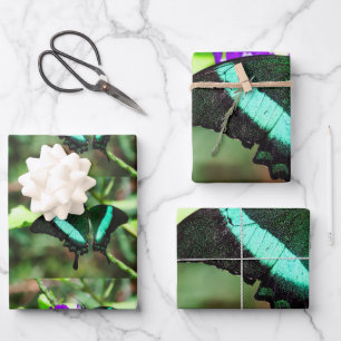 Exotic Emerald Frack Geschenkpapier Set