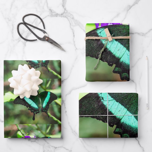 Exotic Emerald Frack Geschenkpapier Set (Vorderseite)