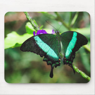 Exotic Emerald Frack Mousepad