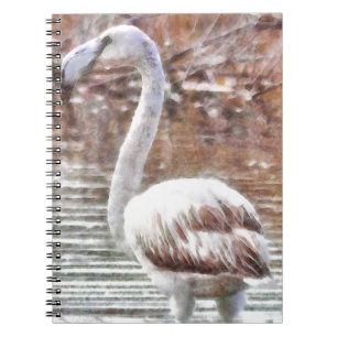 Exotic Flamingo Notizblock