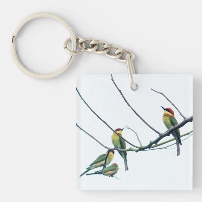 Exotic Indian kerala Bee-Eater Birds on Branch Schlüsselanhänger (Vorderseite)