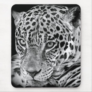 Exotic Jaguar Mousepad