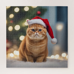Exotic Kurzweihnachtsfest