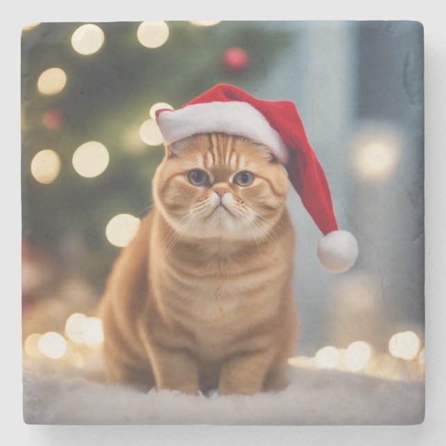 Exotic Kurzweihnachtsfest Steinuntersetzer (Vorderseite)