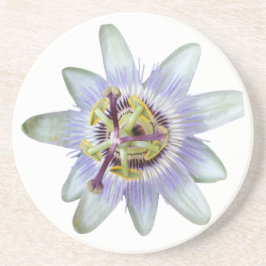 Exotic Lila Passion Blume Sandstone Untersetzer