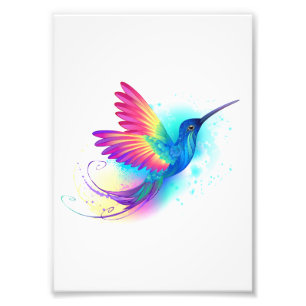 Exotic Rainbow Hummingbird Fotodruck