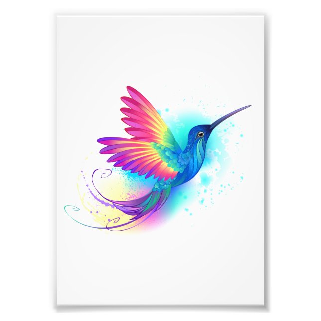 Exotic Rainbow Hummingbird Fotodruck (Vorne)