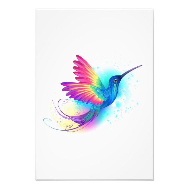 Exotic Rainbow Hummingbird Fotodruck (Vorne)