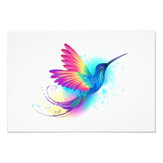 Exotic Rainbow Hummingbird Fotodruck (Vorne)