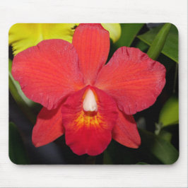 Exotic Red Orchid Mousepad